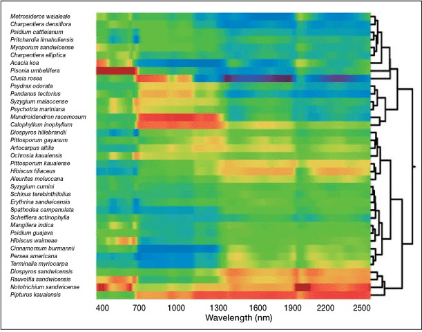 Cluster analysis of spectral signatures from 37 unique plant species conducted by Asner and Martin 2009. Red and blue represent high and low reflance values, respecively, and the dendogram presented on the right side of the graph demonstrates the assigned groupings. Figure adapted from Asner and Martin 2009.