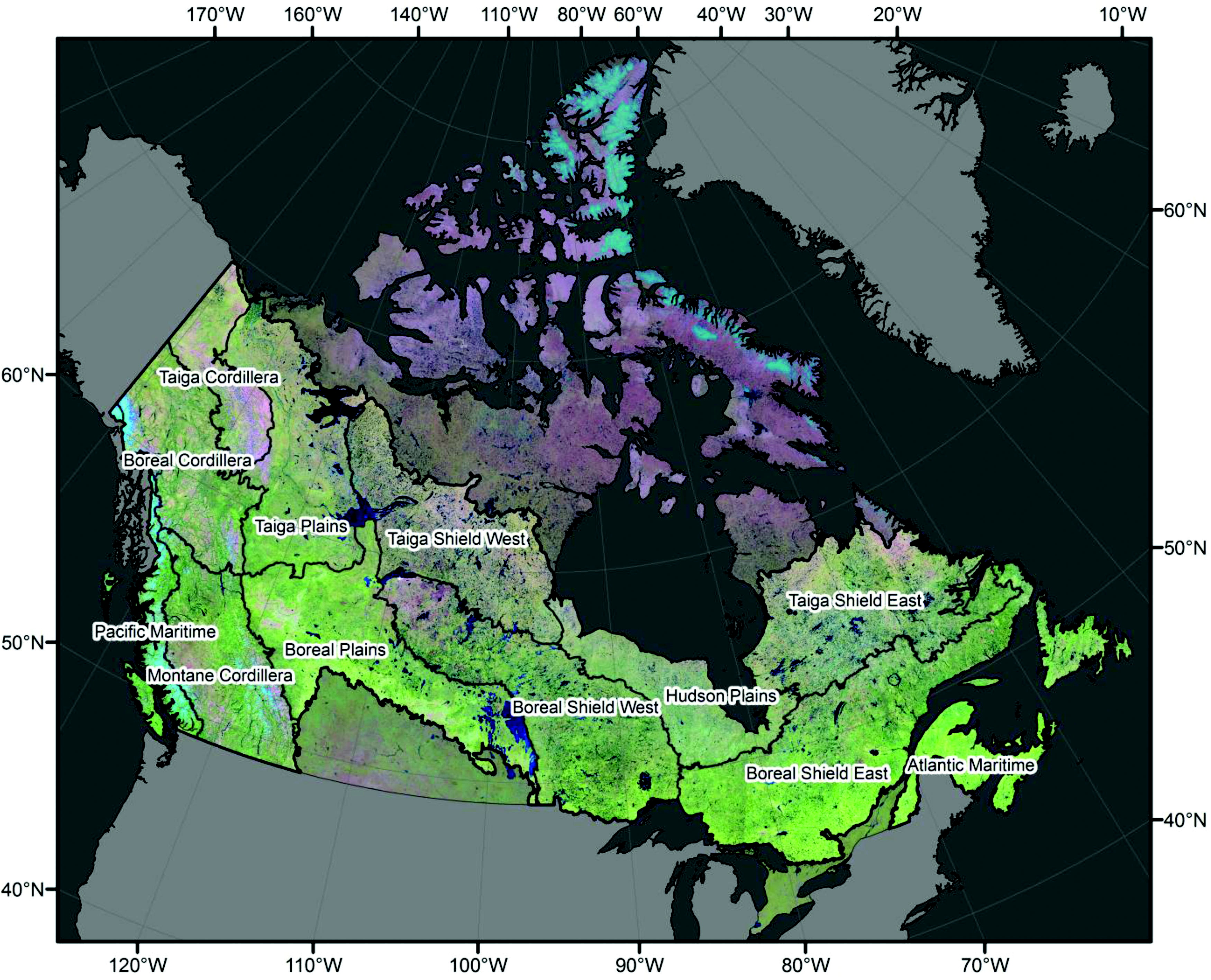 Landcover map of Canada generated by Hermosilla et al., 2018.