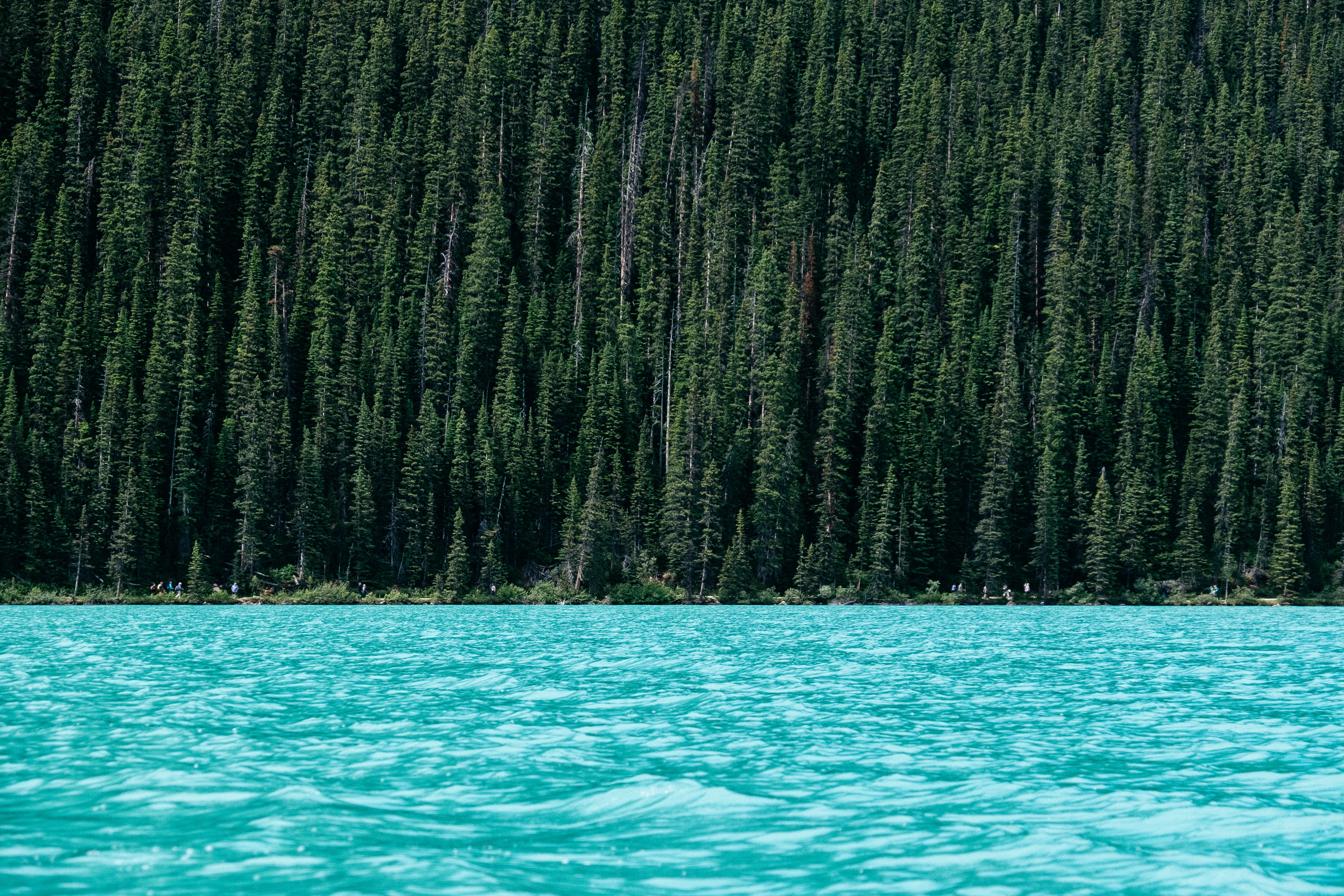 [Oblique image of mountainside trees in Lake Louise, Alberta, Canada](https://unsplash.com/photos/P36KI_ws3vs). [Vlad Shapochnikov](https://unsplash.com/@vladshap) on Unsplash. [Unsplash License](https://unsplash.com/license)