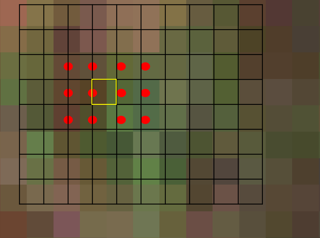 Demonstration of neighbour selection (red) using cubic convolution resampling to determine the value of a single cell (yellow) in an empty raster.